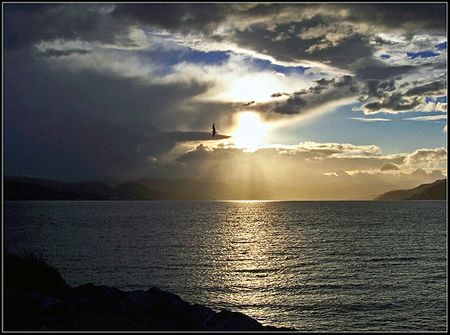 Bay of Islands